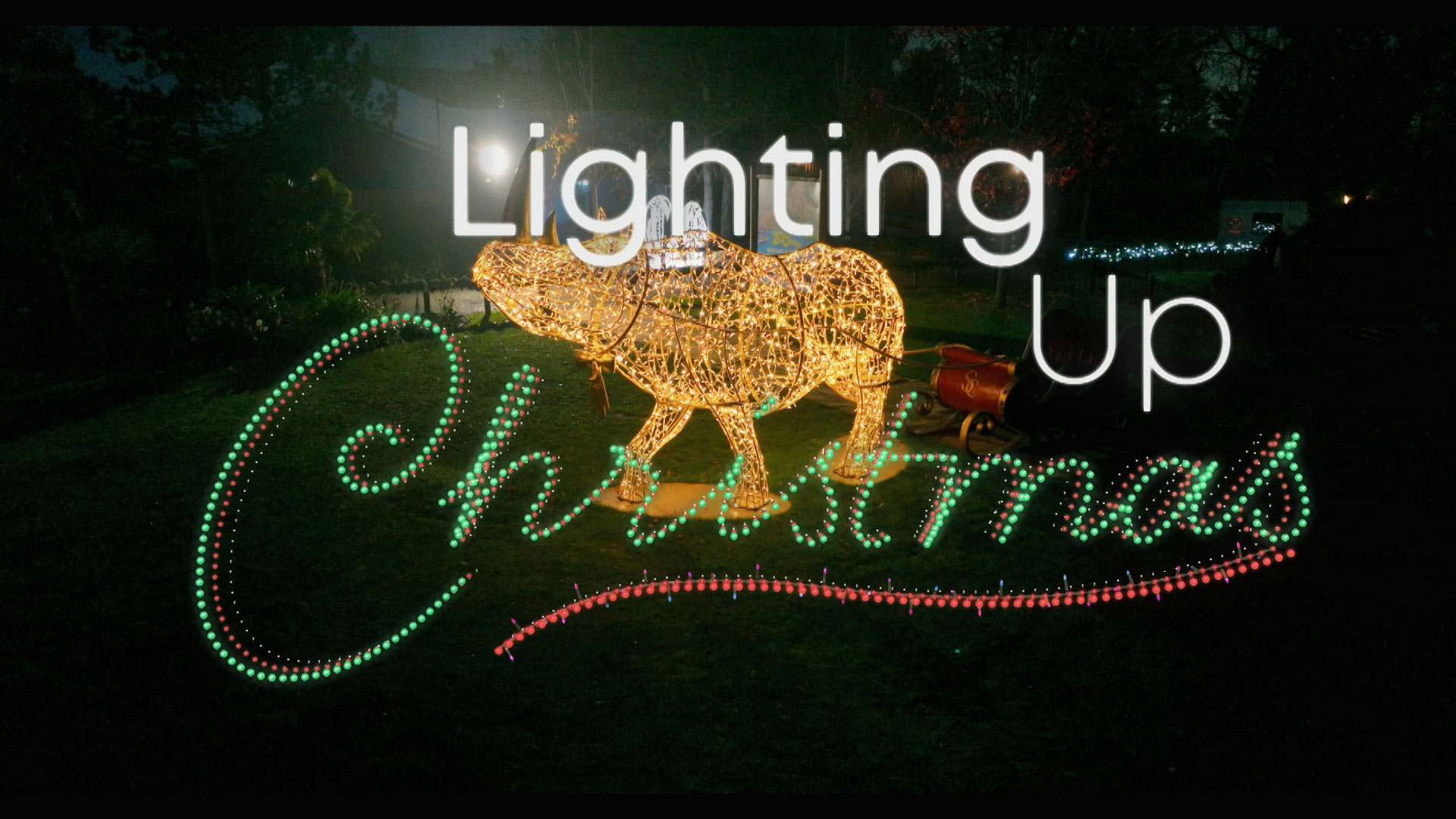 Lighting-Up-Christmas-Colour-Grade-Online-Leeds